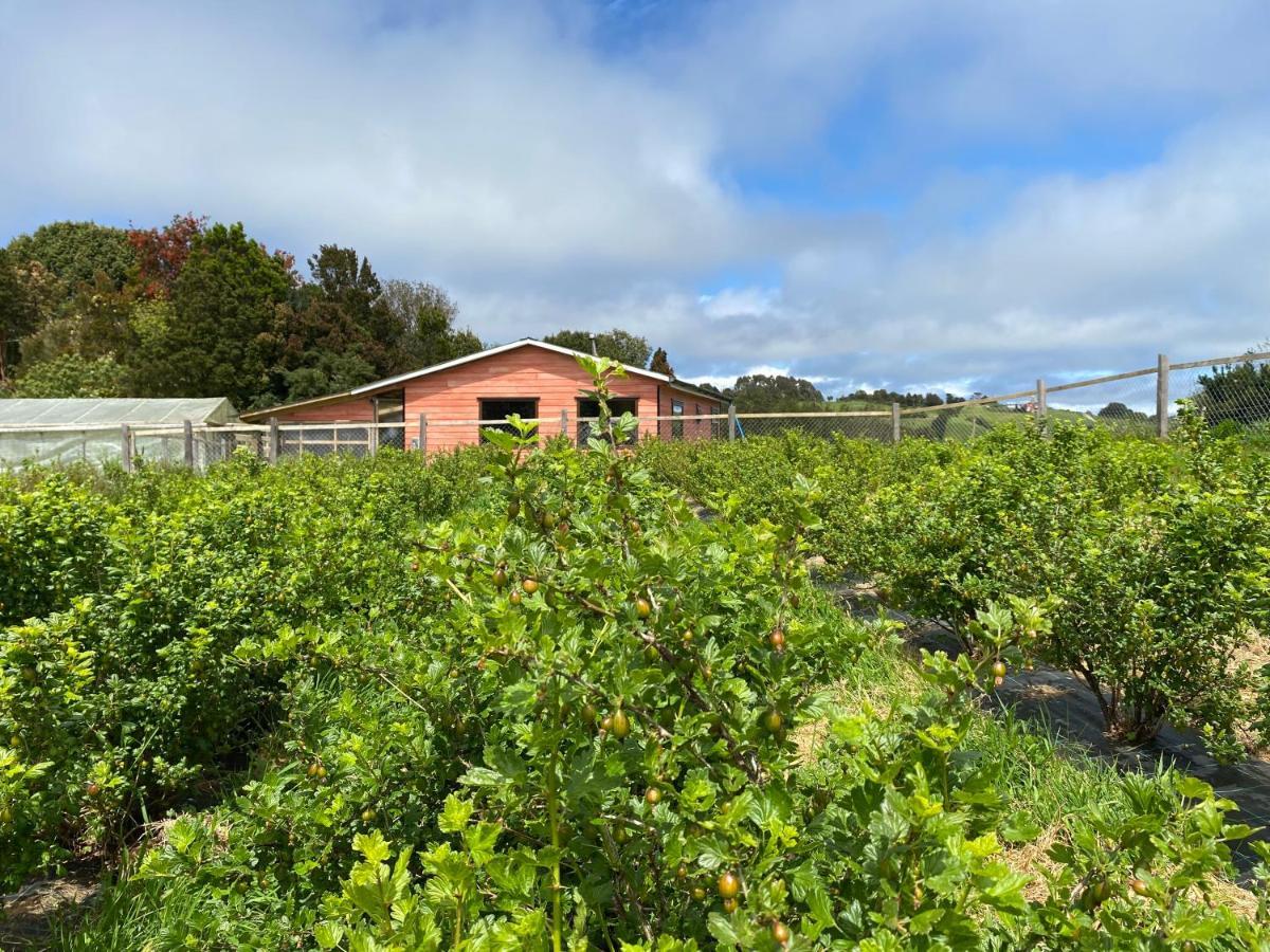 Cabana Nueva En Ancud Chiloe Eksteriør bilde