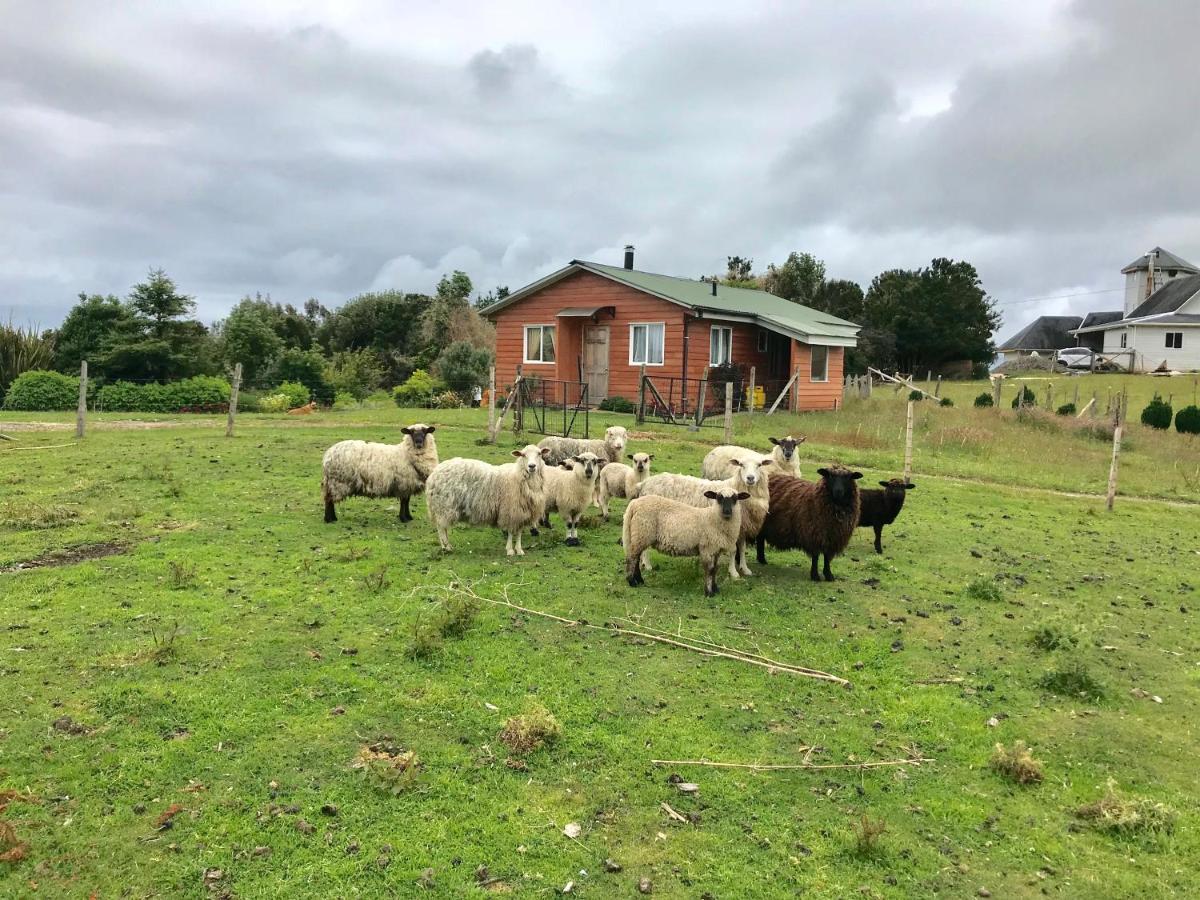 Cabana Nueva En Ancud Chiloe Eksteriør bilde